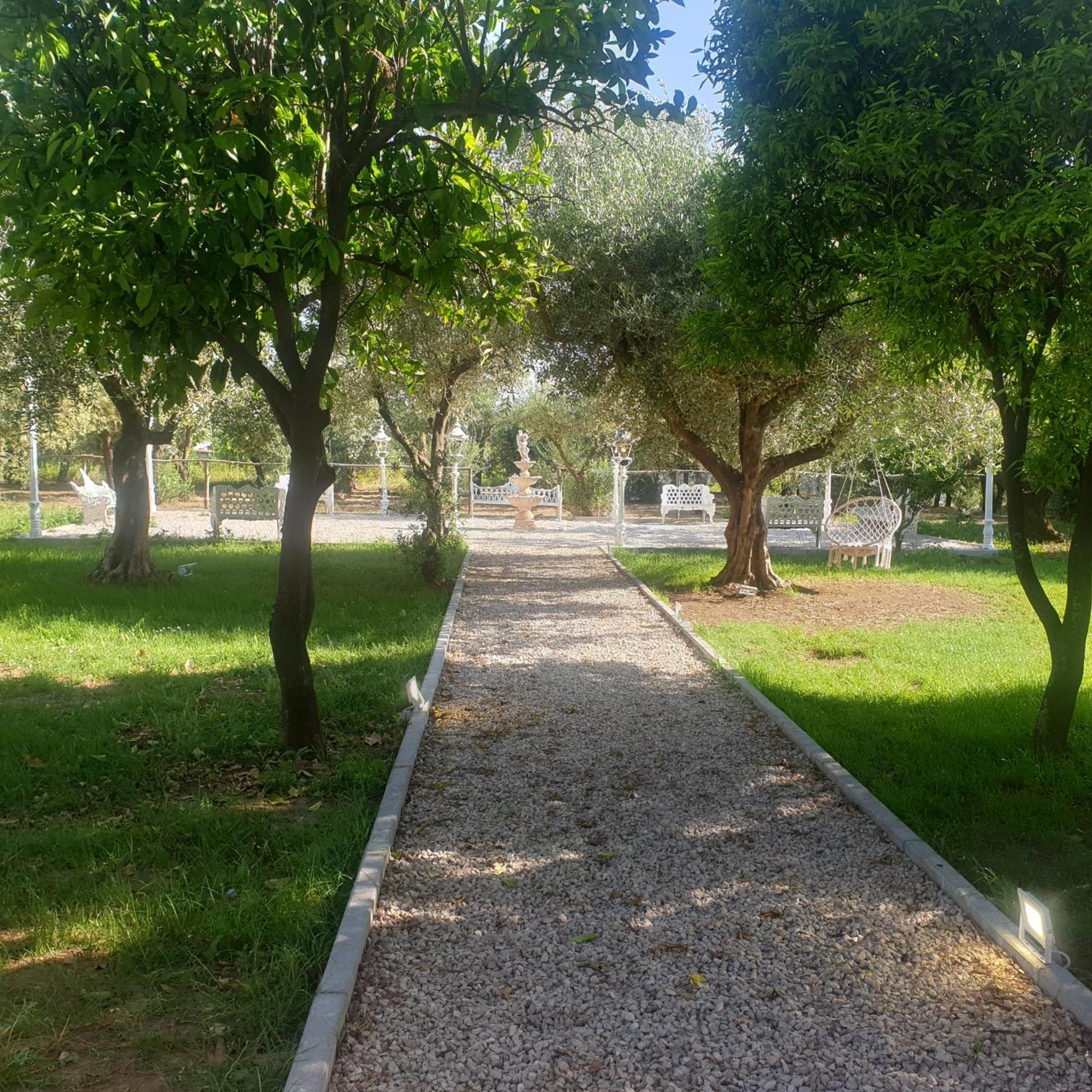 Tenuta Oliva Fisciano Exterior photo