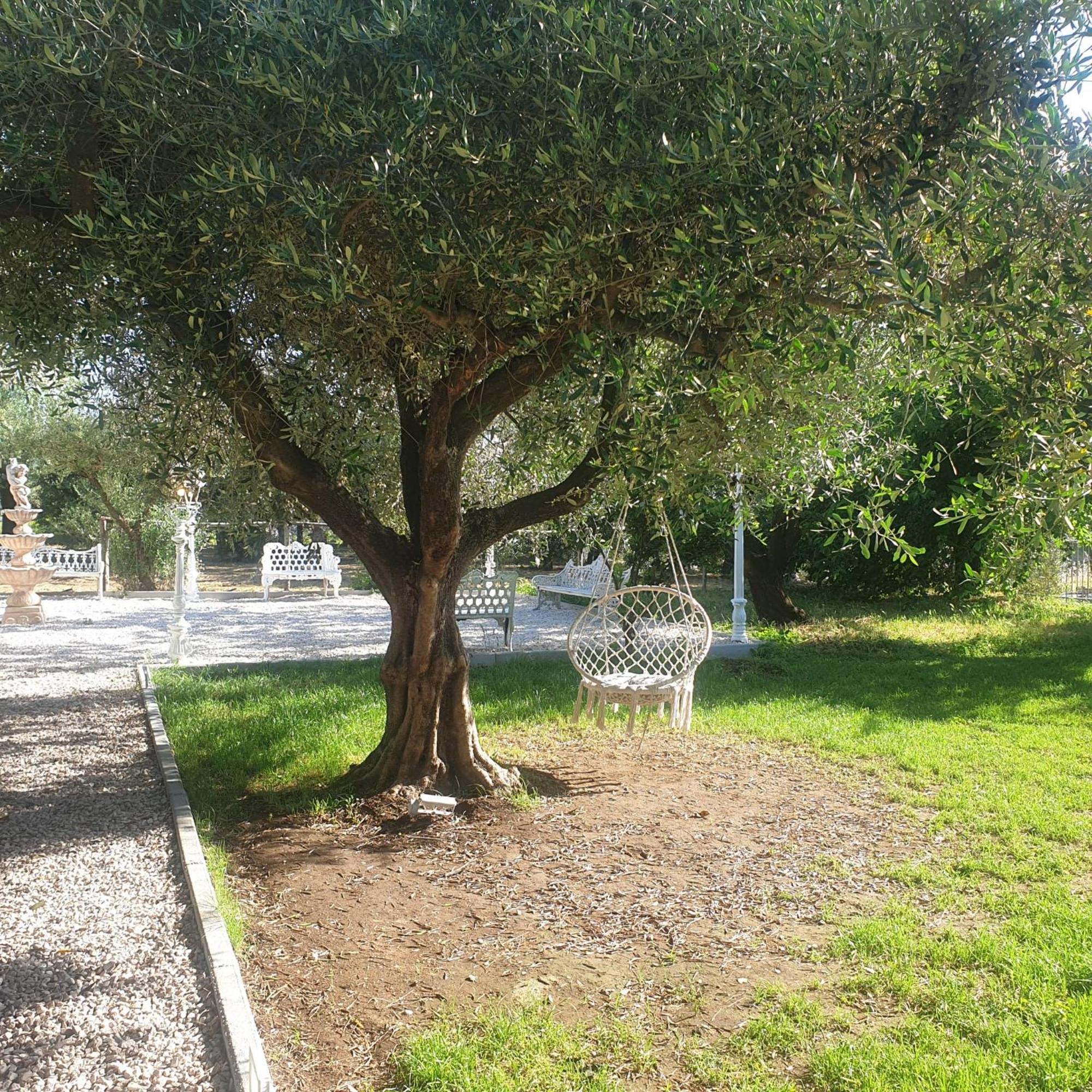 Tenuta Oliva Fisciano Exterior photo
